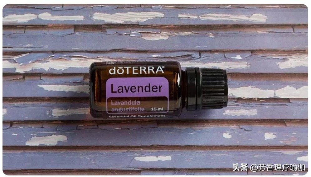 单方Lavender薰衣草