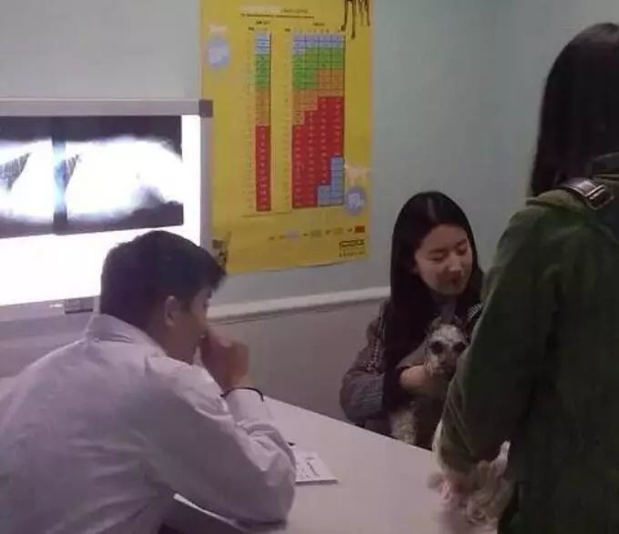 哪些明星养猫最好养,盘点明星们养的宠物