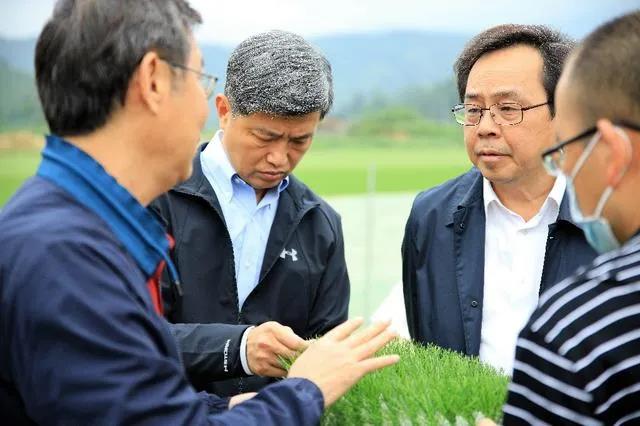 深圳市城市体育发展基金会·情暖行动⑧:朝向集团员工化身逆行者