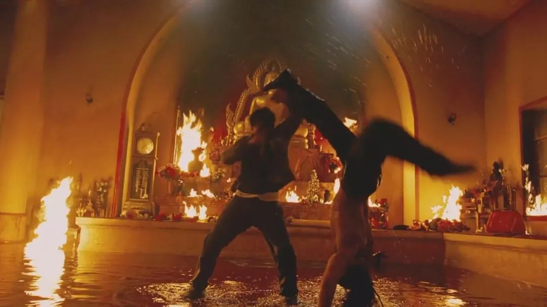 托尼贾对金星的评价,托尼贾金星的电影叫什么