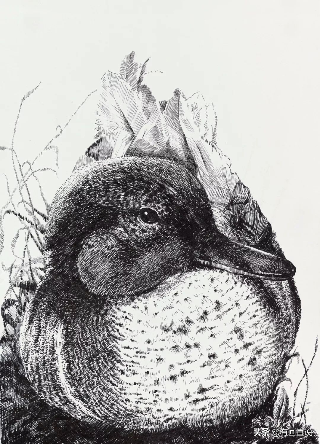 创意素描图片临摹大全4k,零基础简单素描画临摹