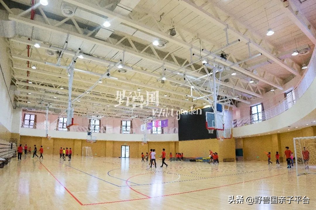 一年20万学费的清澜山学校,都在学些什么?