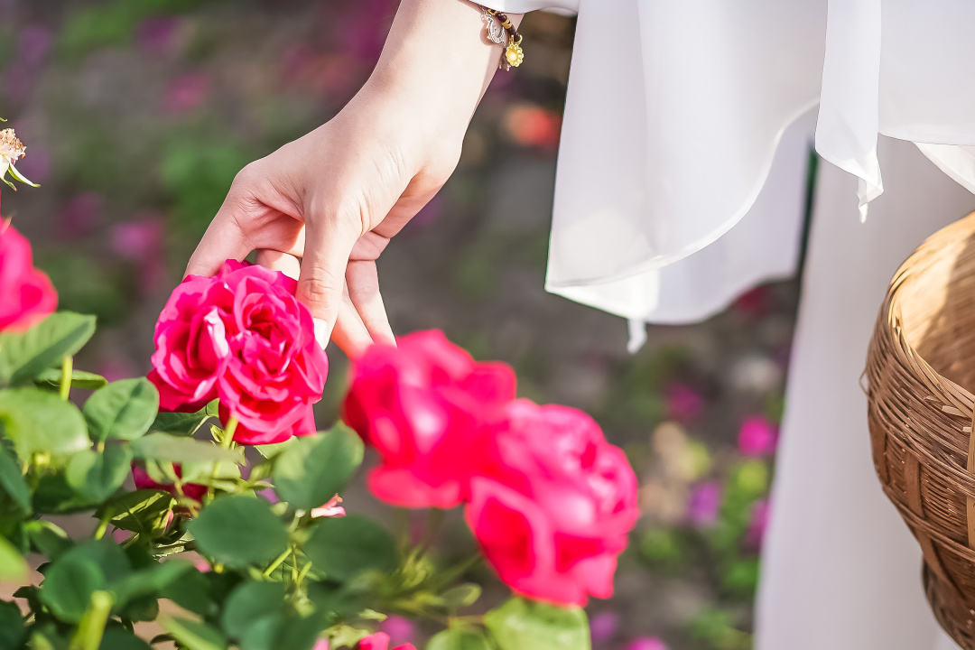 大理自由行攻略推荐,没有攻略的大理旅游