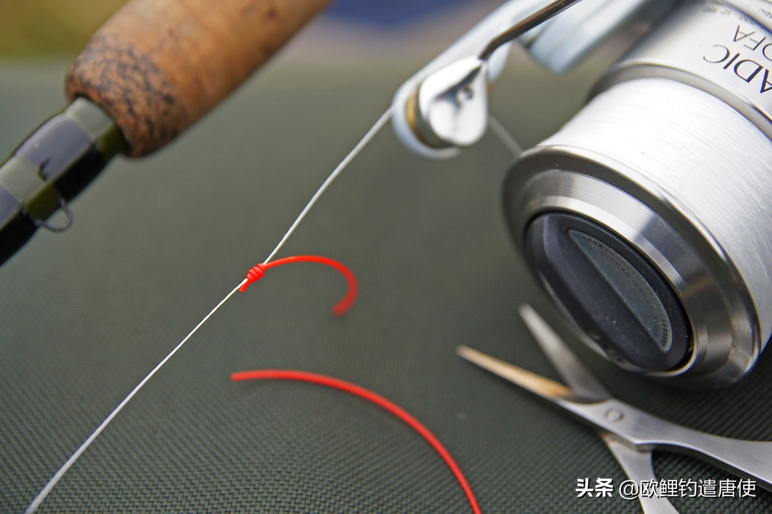 欧鲤钓鱼抛投技巧视频,话说欧鲤钓之抛投篇