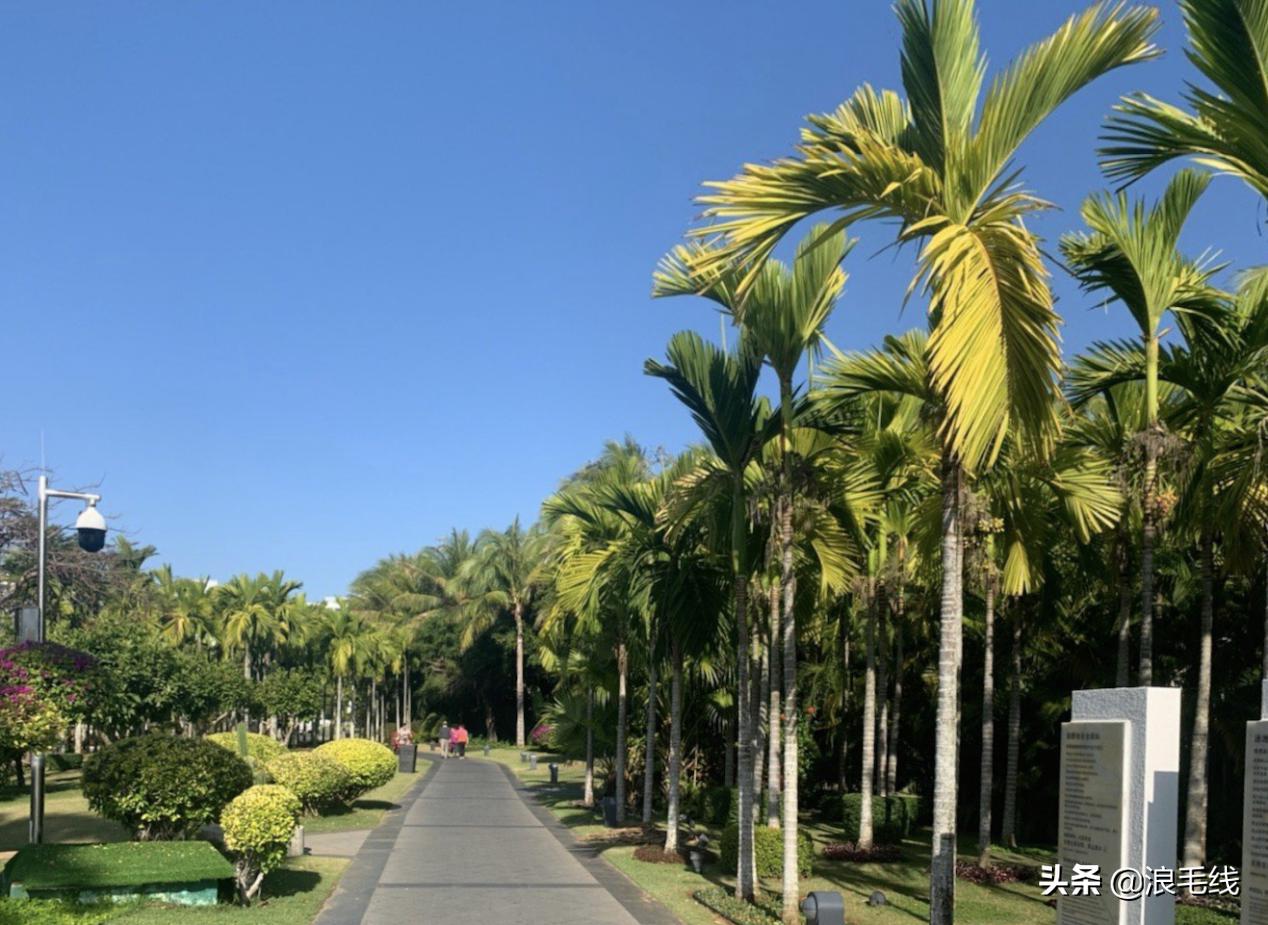 春节三亚好玩吗,春节过后三亚还有哪些值得去的