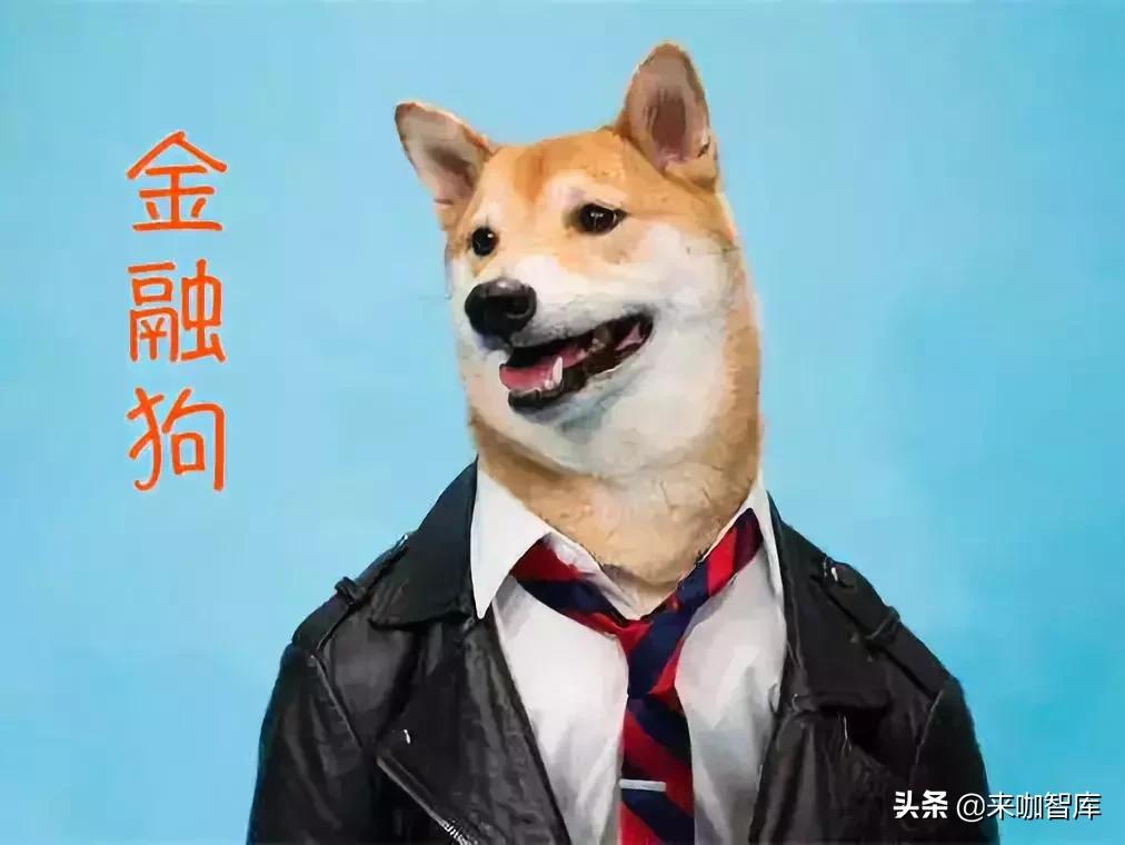 开元股份深度解析,解密科学解释不了的事件