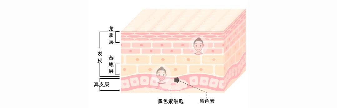 烟酰胺高浓度美白饮推荐,烟酰胺美白淡斑30ml