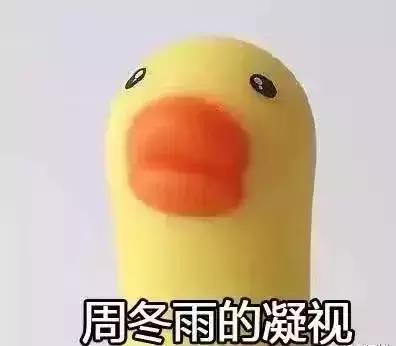 公司只买商业保险不交社保合法吗,社保与商保的投保方式区别