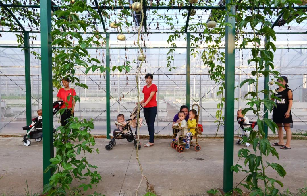 第十届全国人像摄影展览获奖作品,江西省第十一届青年书法展展览