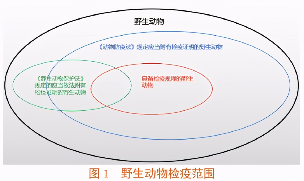 加强执法监管保护水生野生动物,关于加强野生动物监管的紧急通知