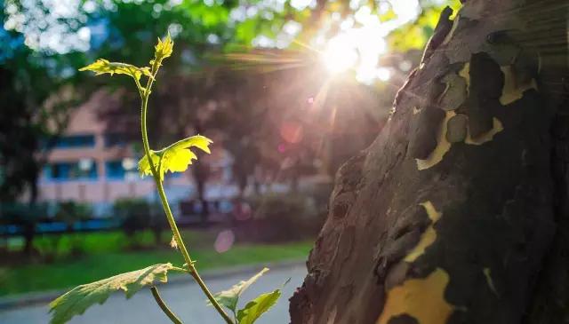 最美白衣战士,最美的白衣战士完整版