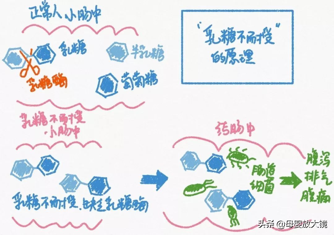 宝宝日常生活记录婴儿七个月,8个月宝宝生长发育情况及喂养