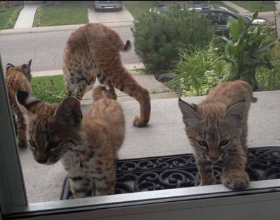 放下了七情六欲戴上金箍才能救你,带上金箍就不能有七情六欲了