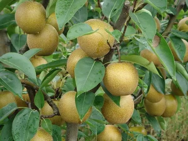 上海可以一路玩下来的地铁线,上海最新41条地铁