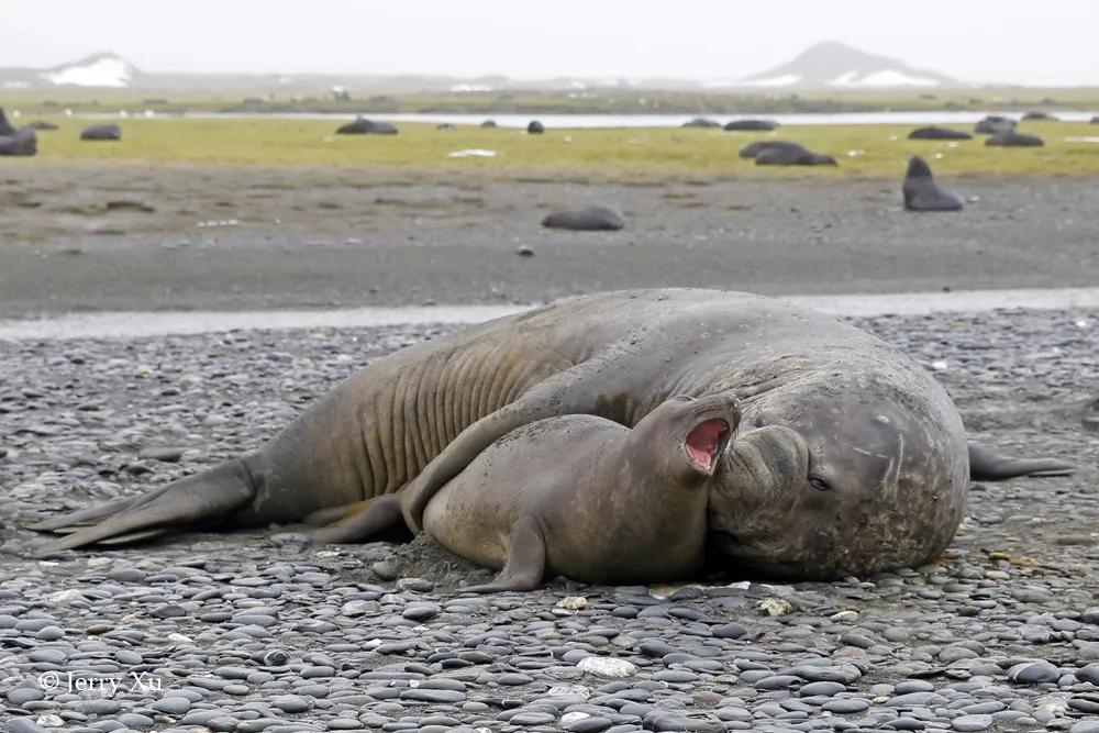 情人节，就该和爱的人*爱做**做的事