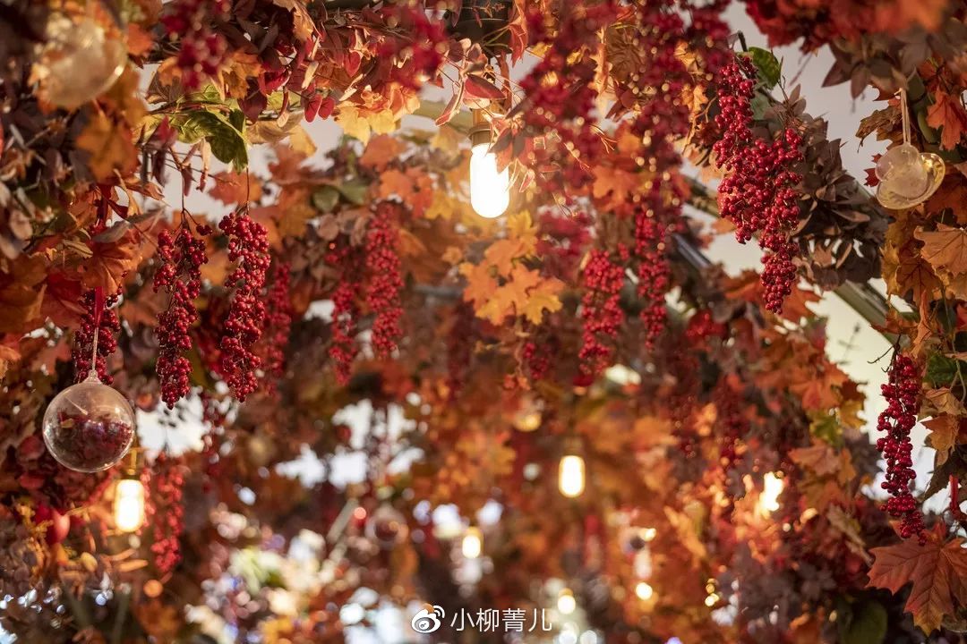 说走就走曼谷这样逛吃玩