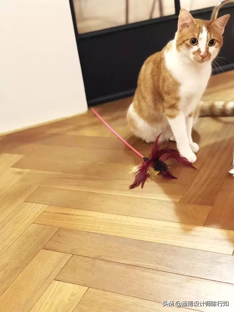 pvc锁扣地板的铺贴方法教程讲解,地板怎么铺贴教学