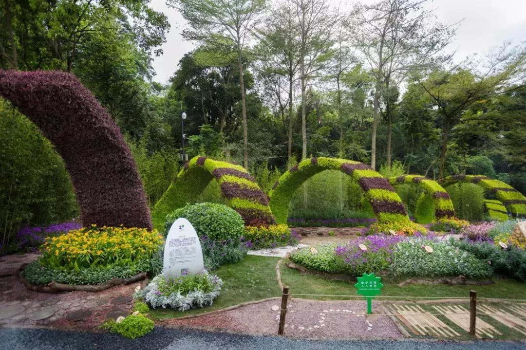 未来10天预警，深圳最最最最火的地方在这里，美女都赶来打卡