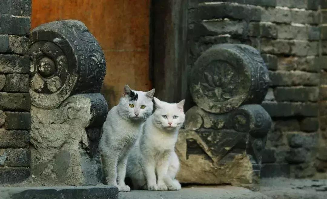 四九城里传奇的地方“北新桥”