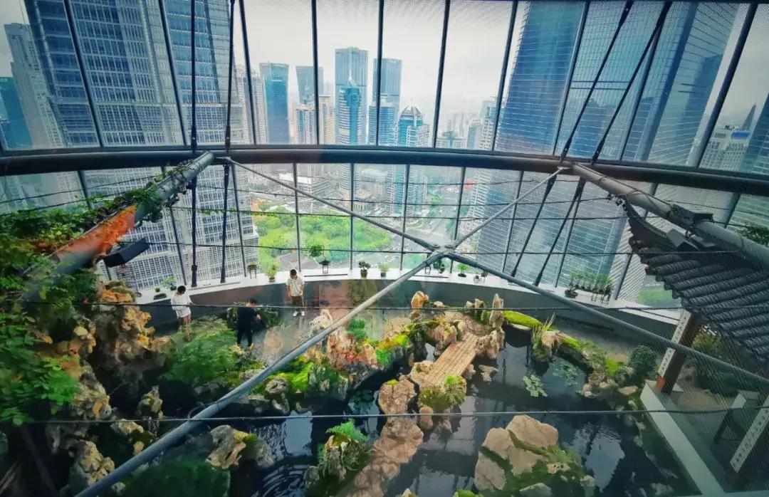 上海观复博物馆地面,上海中心37楼观复博物馆