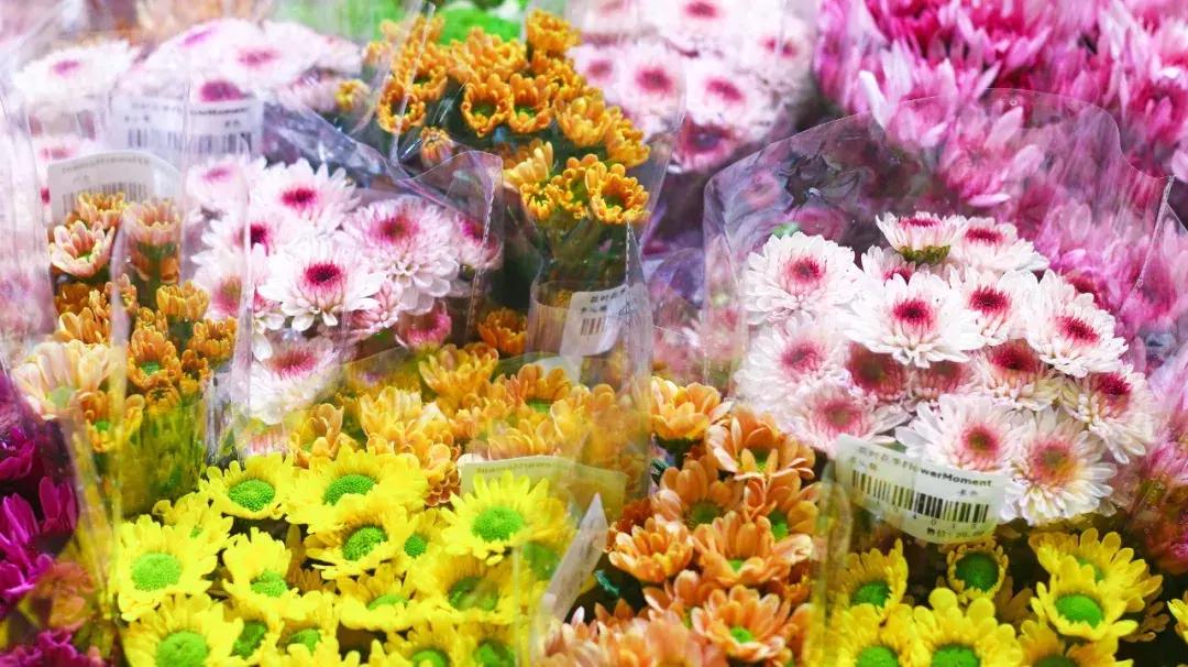 厦门这家超浪漫的鲜花餐厅,厦门最好看的花店