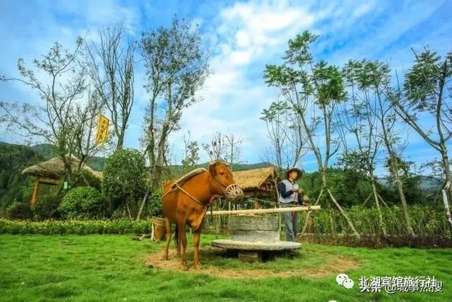 无标题文章的对联,无标题文章解析