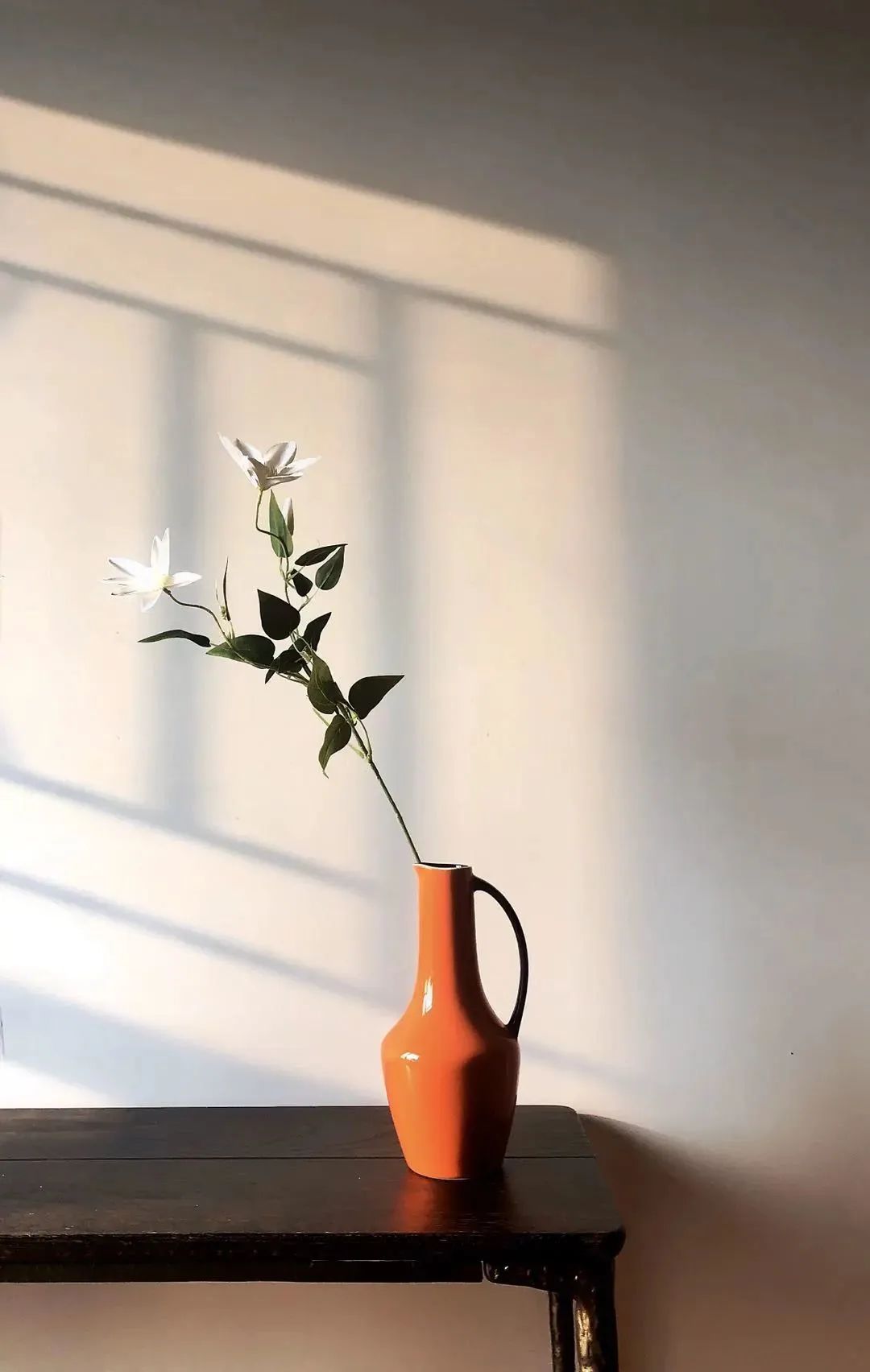 大家用手机拍出过什么好看的照片,赞别人的照片拍摄得好的句子