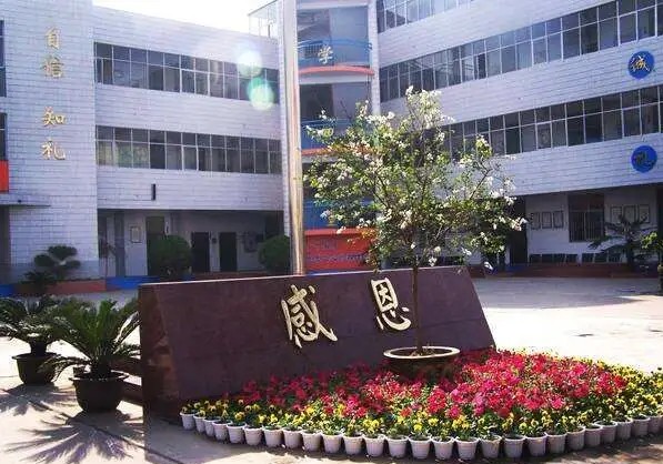 二七区幸福路小学排名,郑州市二七区小学大全