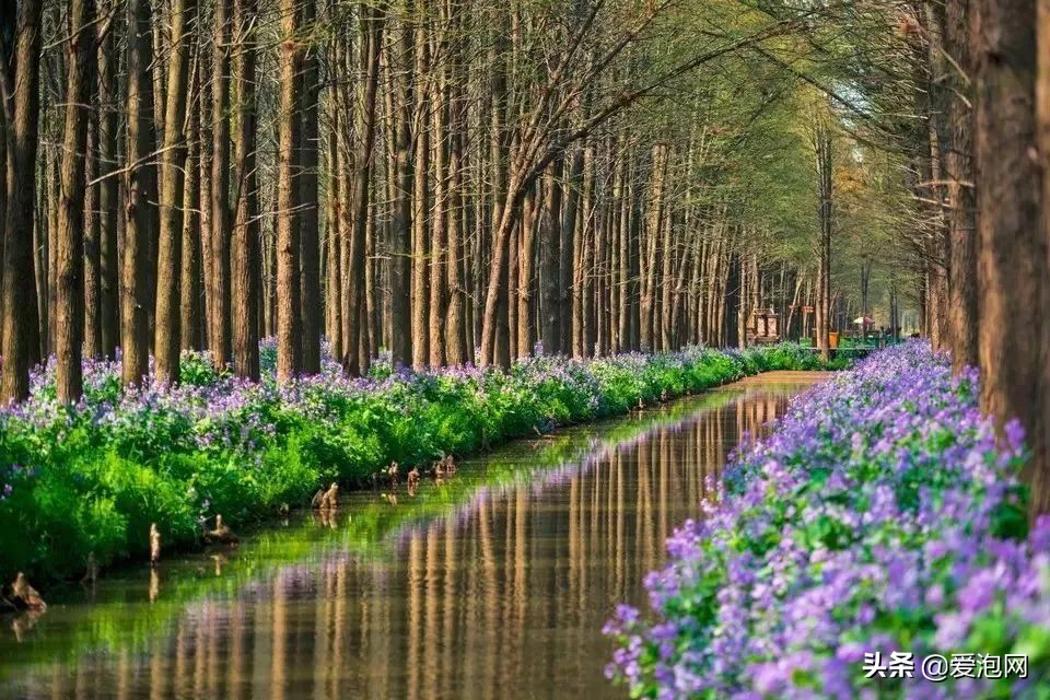 中国最美最好的自驾游线路,五一最火热的自驾游线路推荐