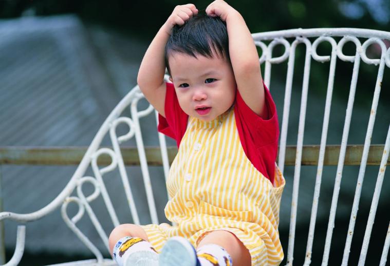 421家庭困局,421家庭现状怎么样