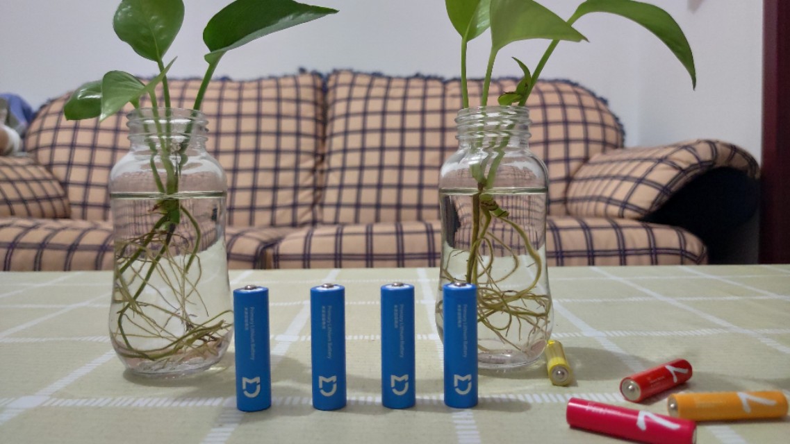 2900毫安锂电池,2900ma的电池