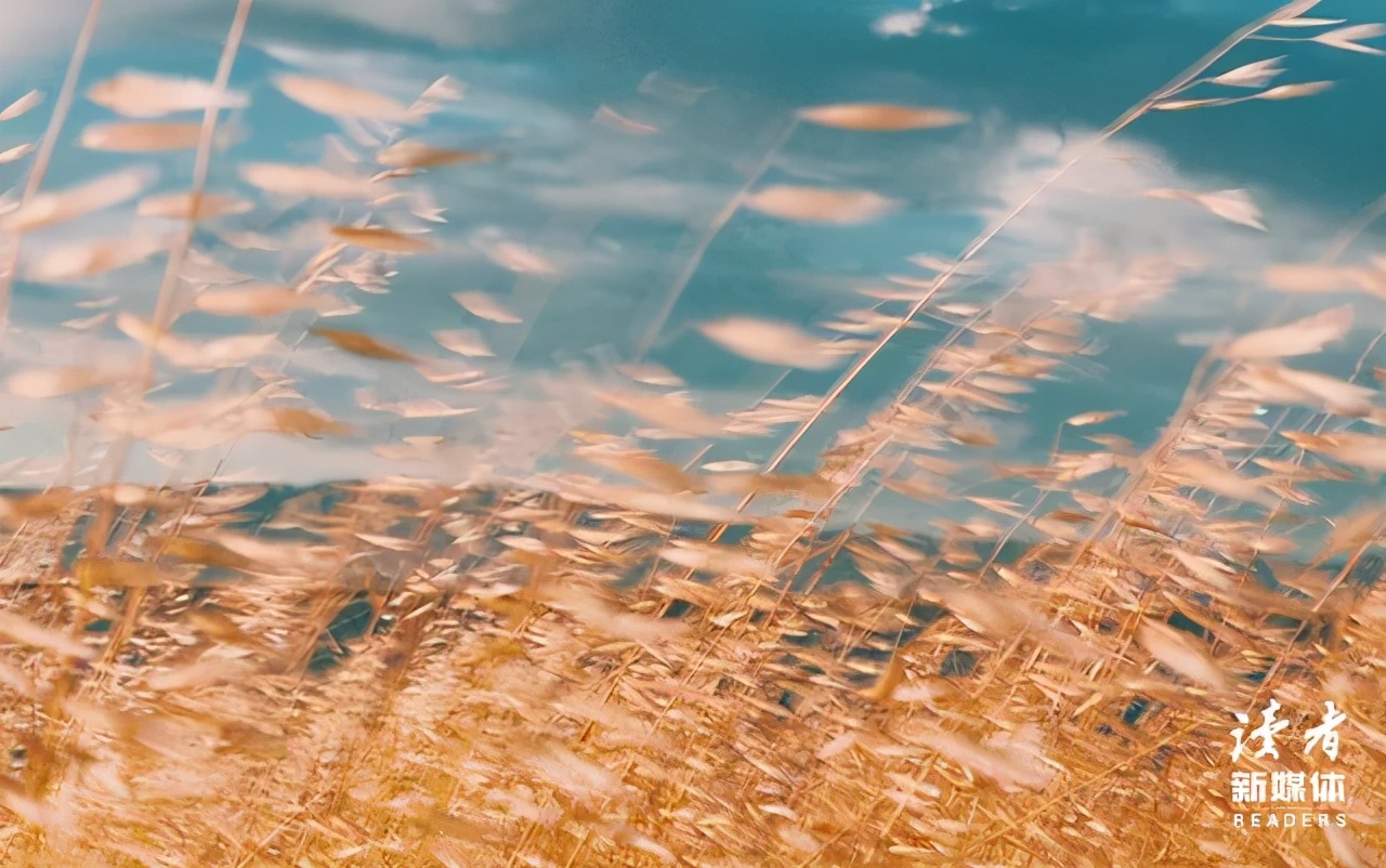 我在那个出租屋,住了9年