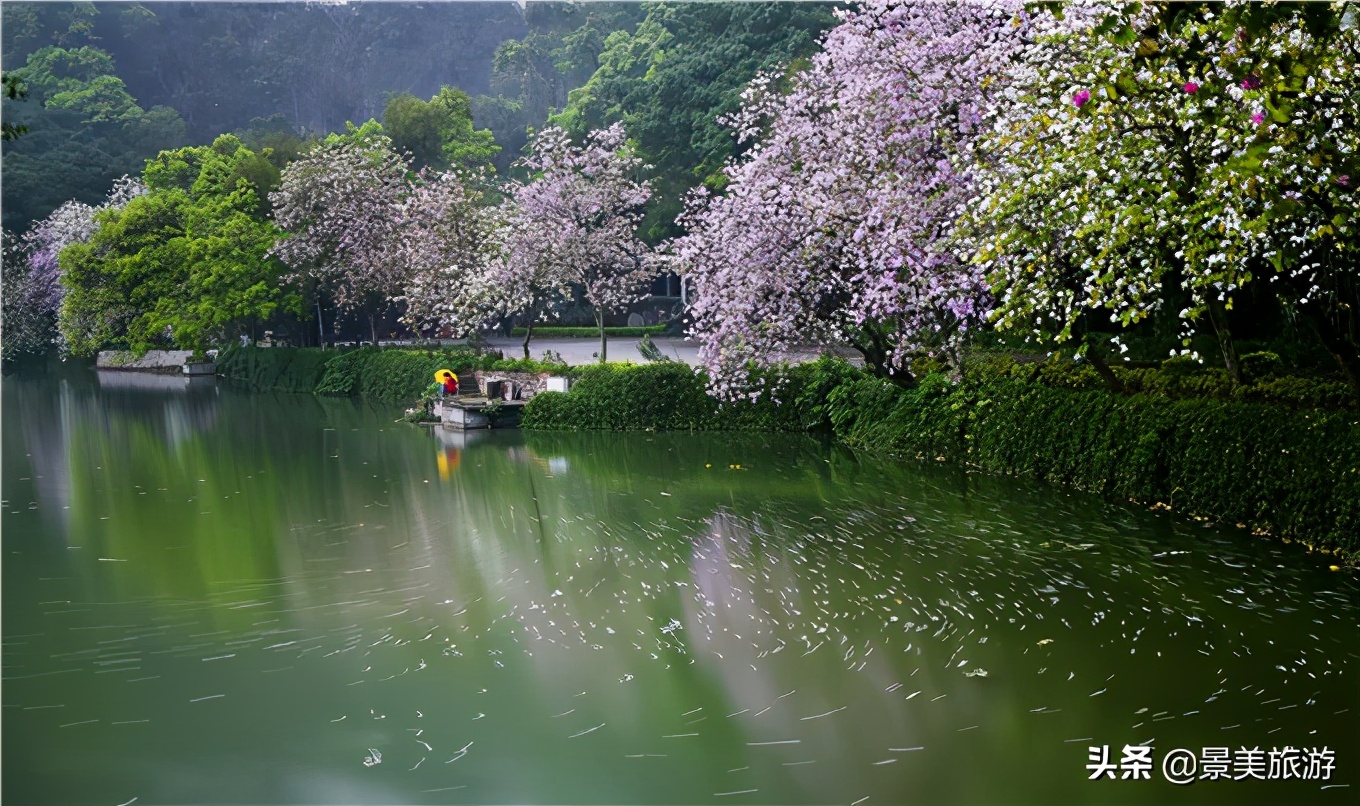 肇庆星湖游览图,肇庆星湖名胜风景区旅游攻略路线