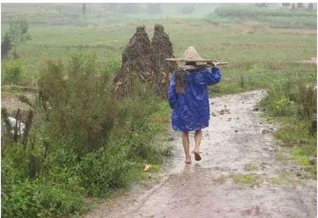 2020年双闰年双闰月是怎么回事,今年闰月双春年阴雨多吗