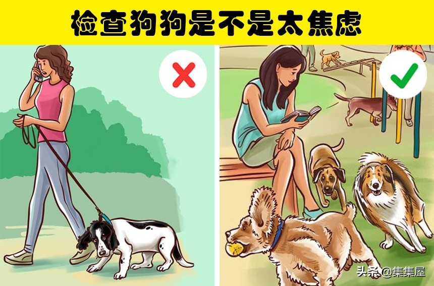 狗狗总是撑开牵引绳,狗狗老是挣脱脖套背带怎么办