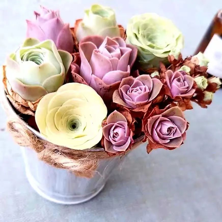 什么品种玫瑰花最好养,永不凋谢的绿玫瑰图片