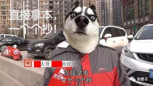 每个车主都要小心，抄号族无处不在！！！