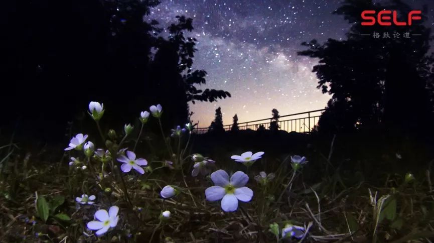 经过5年中国民间星座田野调查，发现原来祖先们也是“吃货”！