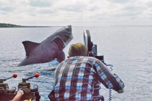 斯皮尔伯格为什么不拍大白鲨续集,斯皮尔伯格做的大白鲨变成动画版