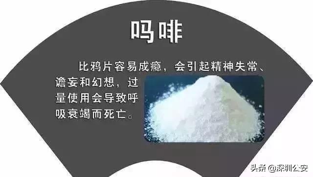 知识点有什么,知识点的重要性