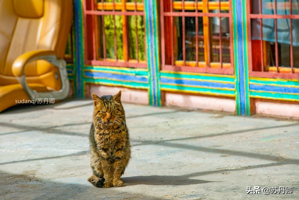 千年古刹与千年古寺的区别,千年古寺和千年古刹