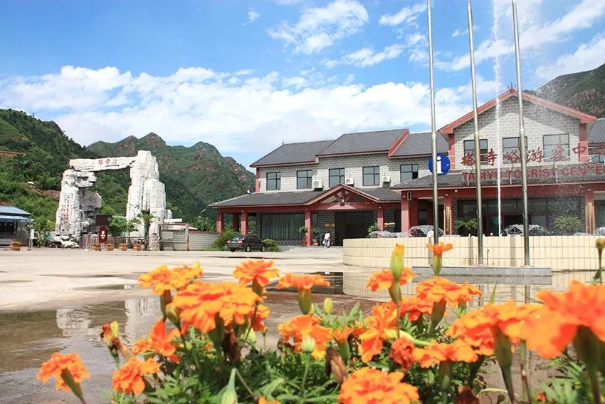 炎炎夏日躲树荫下才最凉快,远离城市喧哗清凉一夏