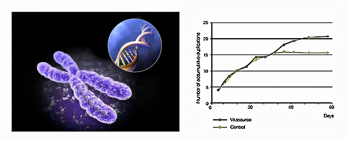 注氧水光焕肤,提亮肤色改善暗沉抗皱补水护肤