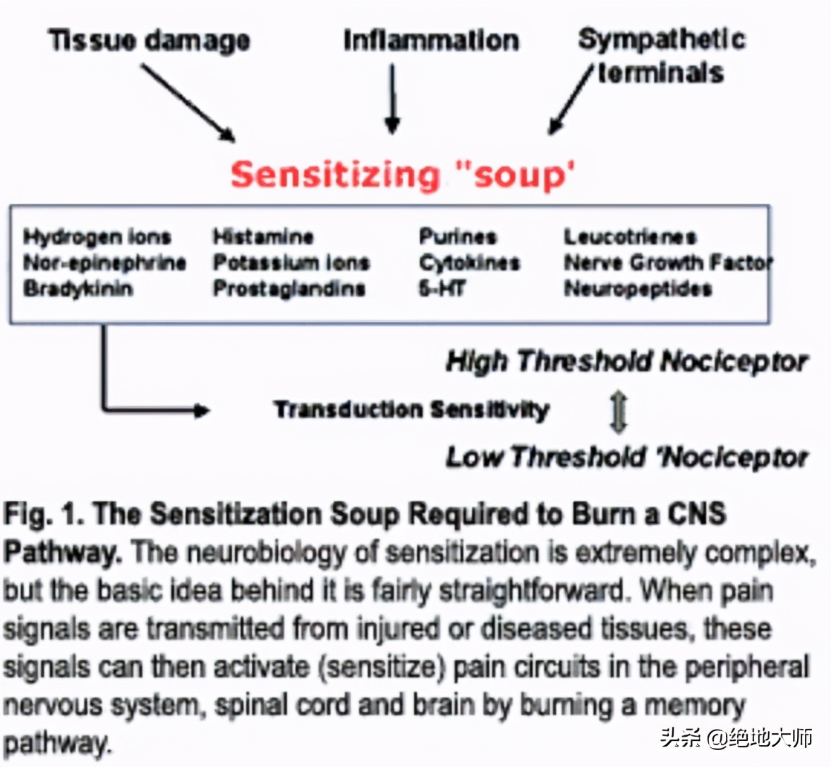 慢性神经痛能治疗好吗,慢性疼痛与心理作用