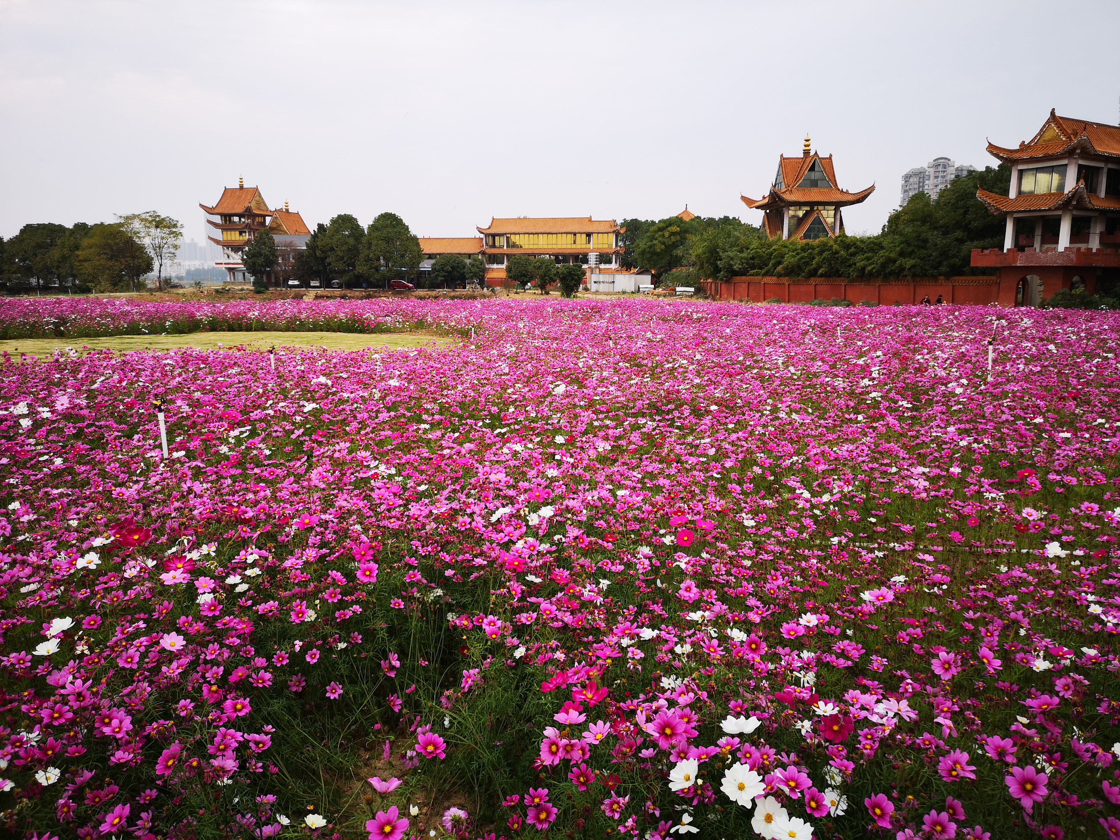 沉睡了千年的历史,沉睡的历史神秘的墓葬
