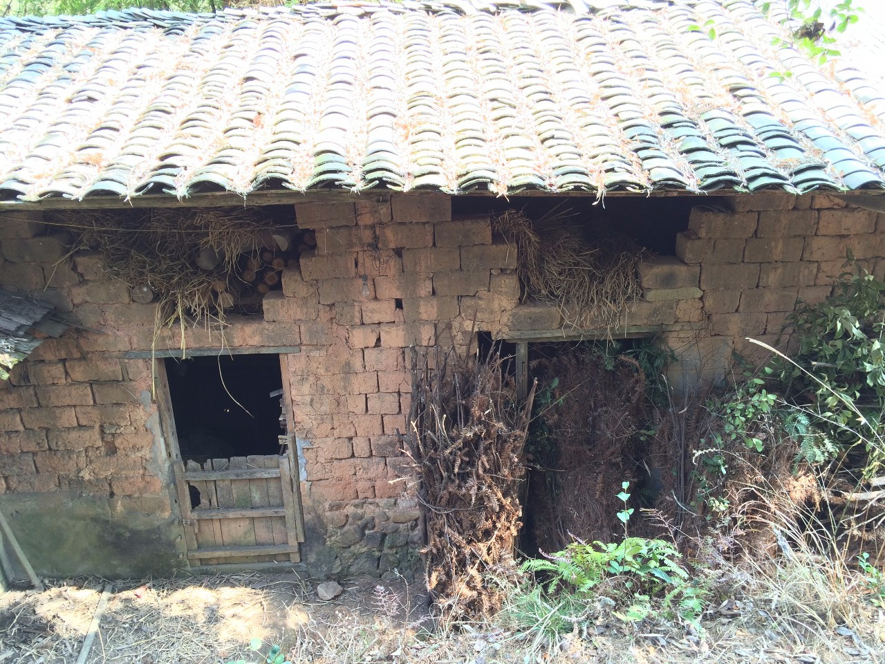 同人类祖先同时进化的人,人类进化了这么久为何还自相残杀