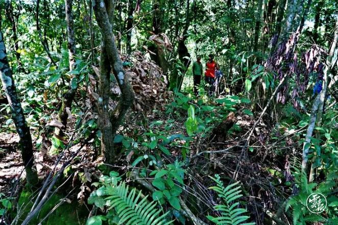 沧源县的风景区有哪些,云南沧源有什么好玩的地方