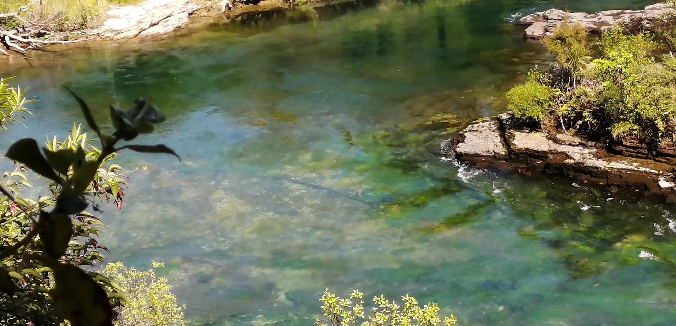 记忆中的旅行之新西兰（北岛）