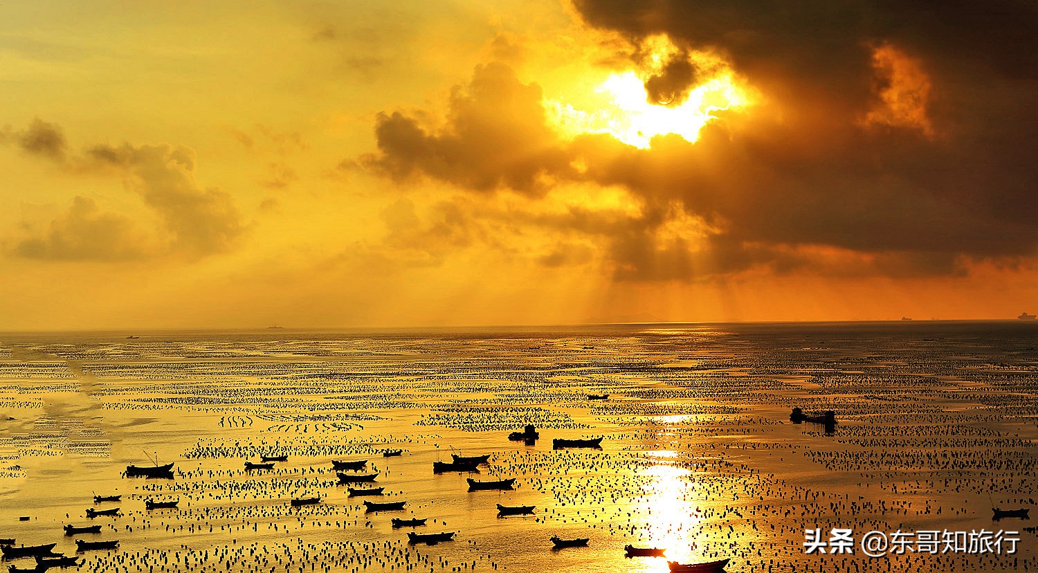 上海出发去枸杞岛旅游攻略 (枸杞岛嵊山岛一天游玩攻略)