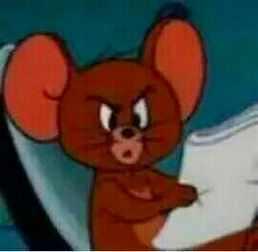 支付宝购买保险需要哪些事项,支付宝上的哪些保险可以买